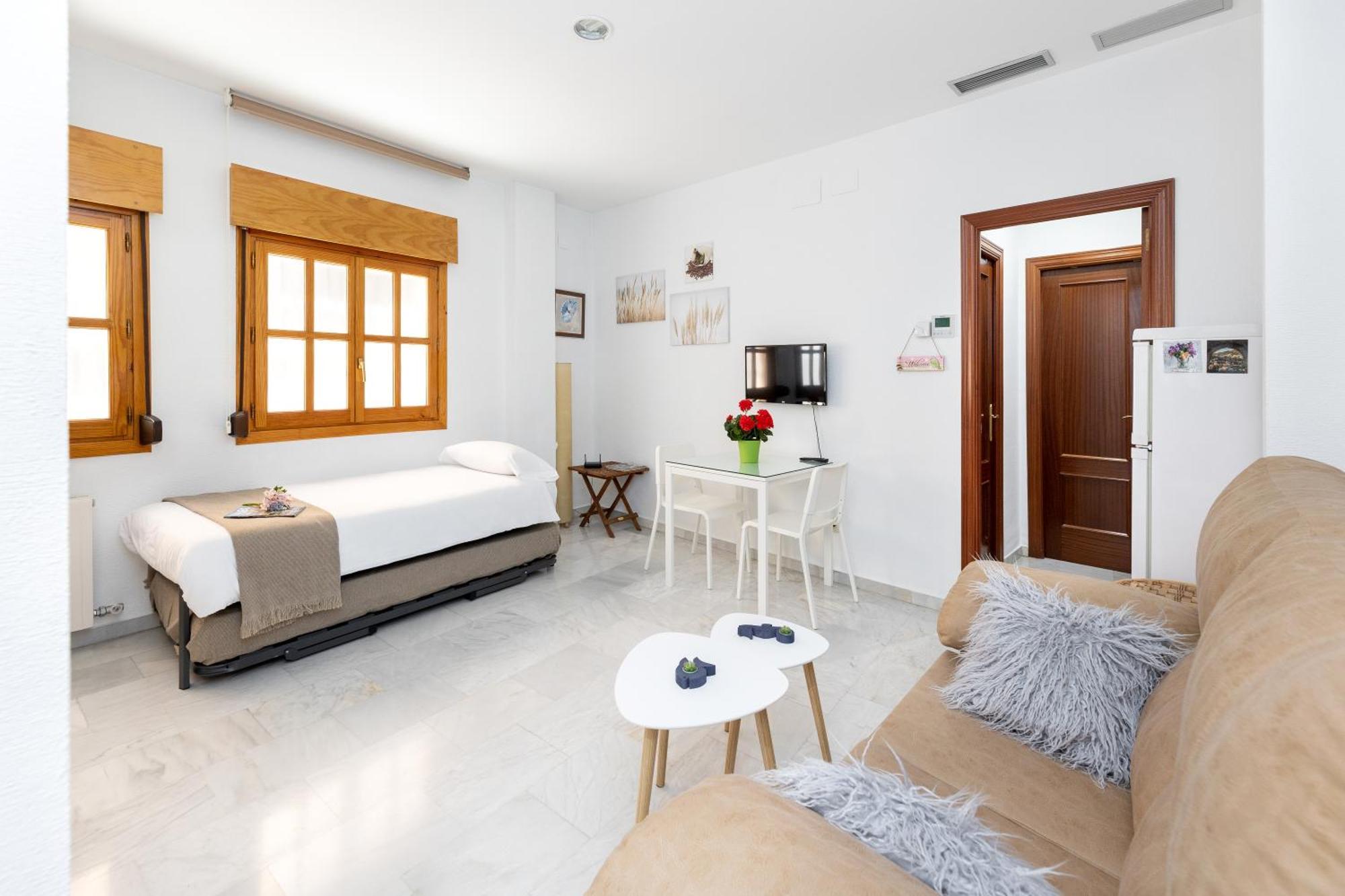 Apartamento Adultos Centro Nueva De La Virgen 2 Free Parking Granada Kültér fotó